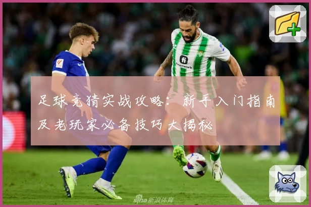 足球竞猜实战攻略:新手入门指南及老玩家必备技巧大揭秘