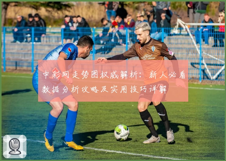 中彩网走势图权威解析：新人必看数据分析攻略及实用技巧详解