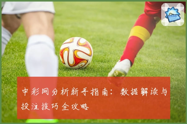中彩网分析新手指南：数据解读与投注技巧全攻略