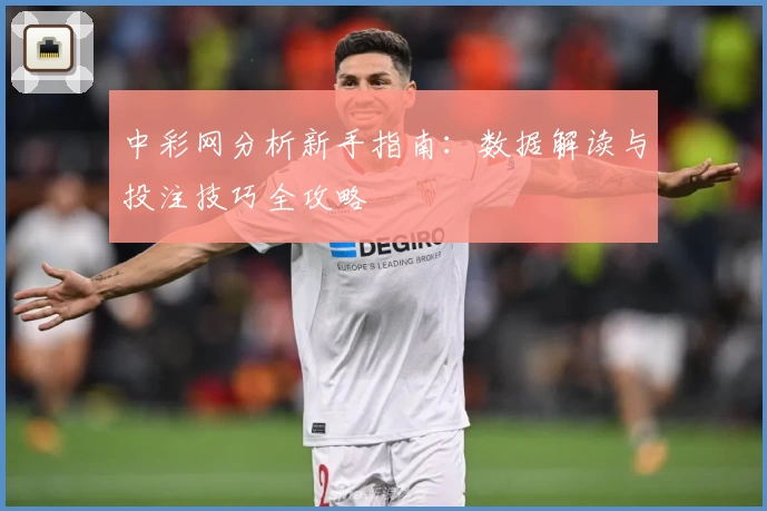 中彩网分析新手指南：数据解读与投注技巧全攻略