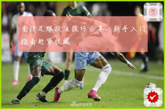竞猜足球投注技巧分享，新手入门指南赶紧收藏